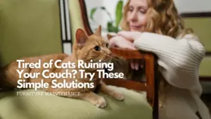 Tired of cats ruining your couch try these simple solutions