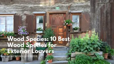 Wood species_ 10 best wood species for exterior louvers