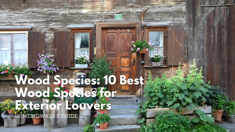 Wood species_ 10 best wood species for exterior louvers
