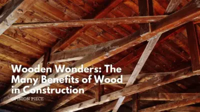 Wooden wonders_ the many benefits of wood in construction
