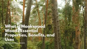 What is monkeypod wood_ essential properties, benefits, and uses